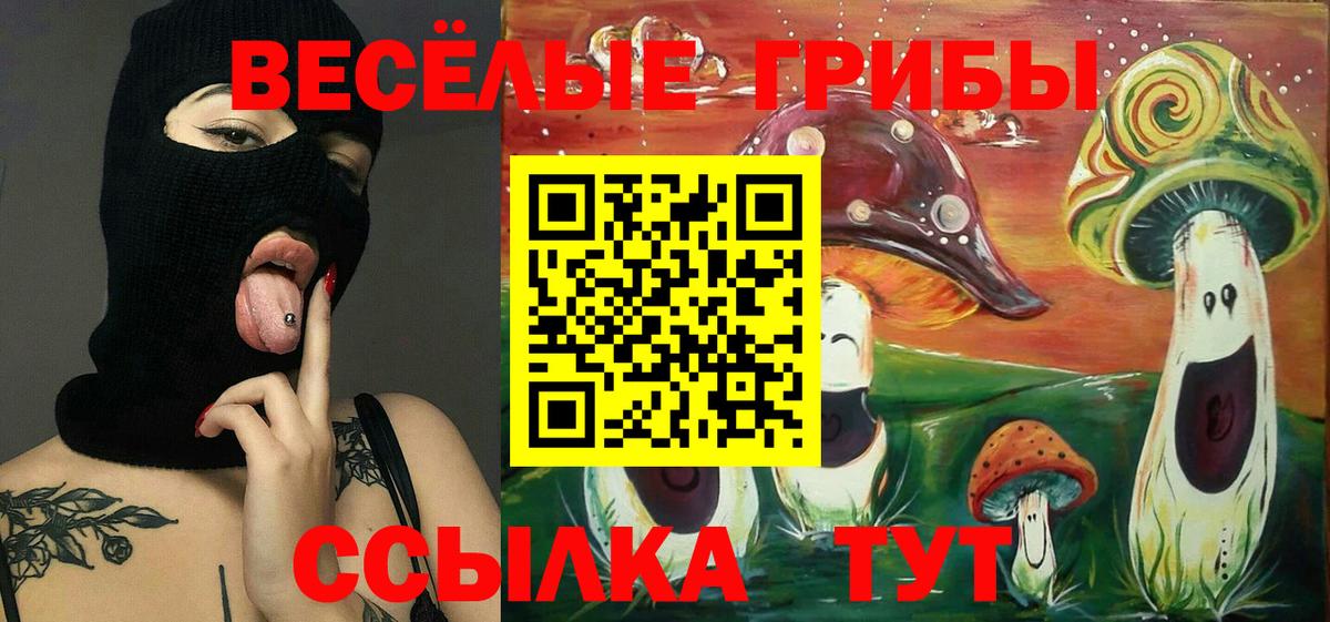 Псилоцибиновые грибы Cubensis Таганрог