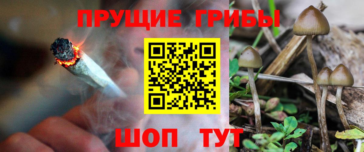 Таганрог  Галлюциногенные грибы GOLDEN TEACHER  Вход с VPN  Галлюциногенные грибы мицелий 